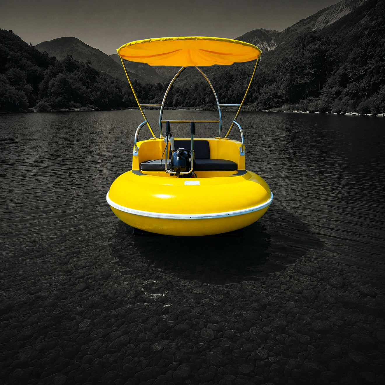 bumper boat